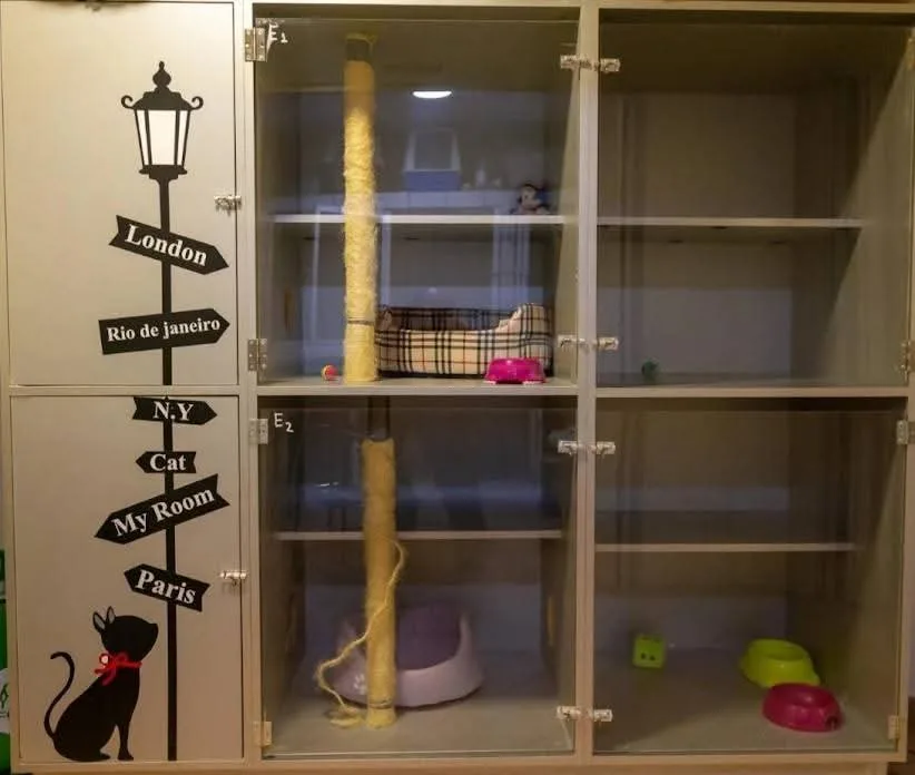 Purrfect cat hotel - Epirus pet otel görseli 3