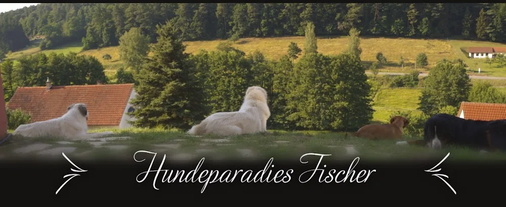 Hundeparadies Fischer - Erbach pet otel