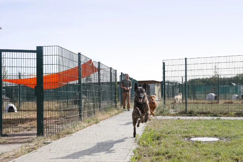 Hundezentrum Flughafen Frankfurt - Erbach pet otel