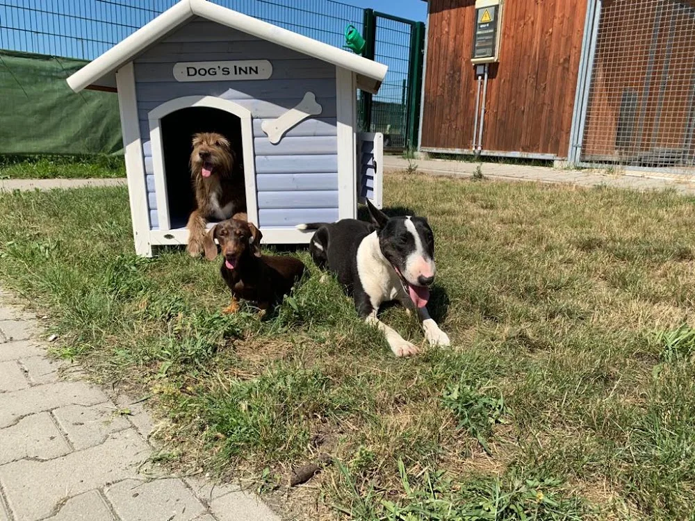 Hundezentrum Flughafen Frankfurt - Erbach pet otel görseli 3