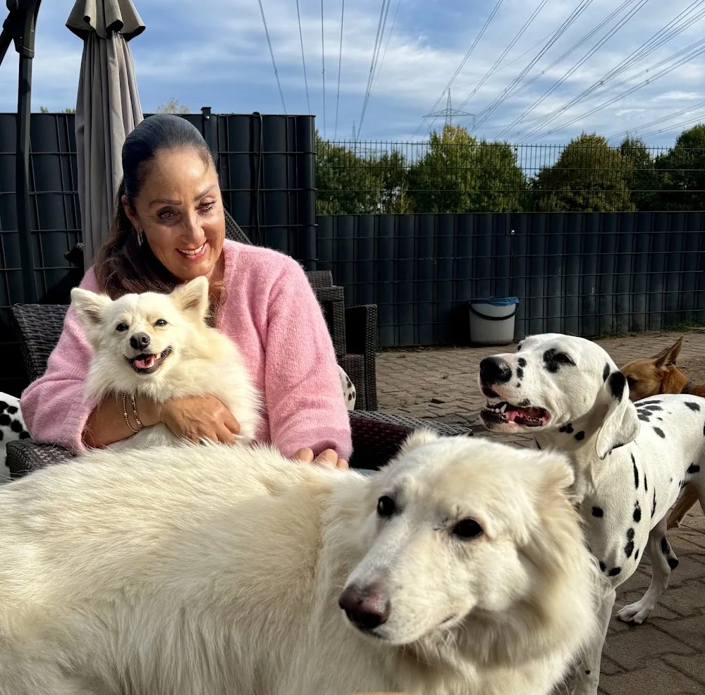 HUNDIVERSUM DogCare GmbH - Erbach pet otel