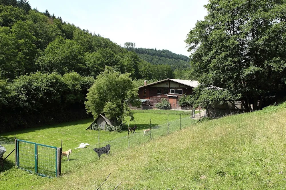 Tierpension Birkenhof - Irmela Balser - Erbach pet otel