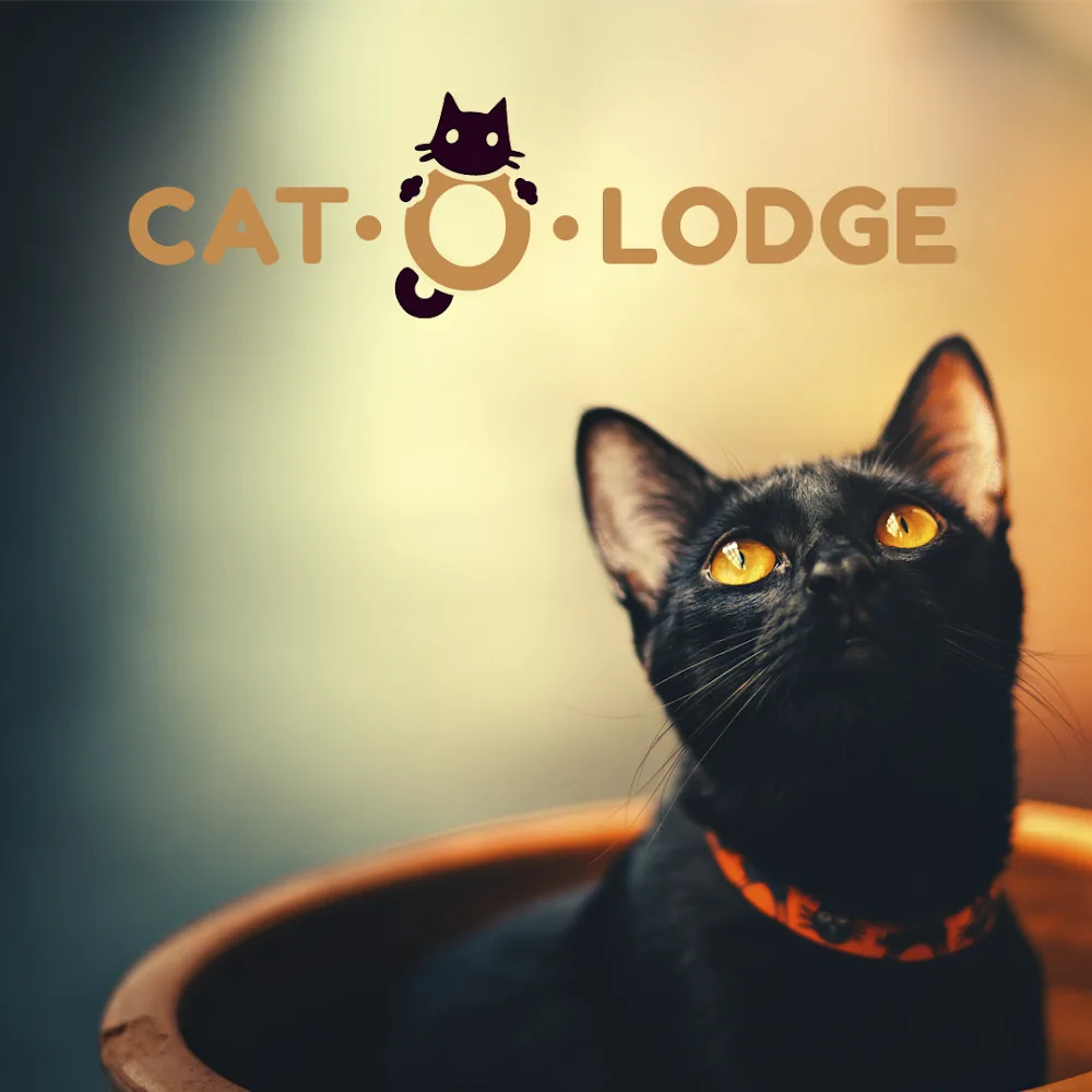 Cat-O-Lodge Cicapanzió és Cicanapközi Szigetszentmiklós - Érd pet otel