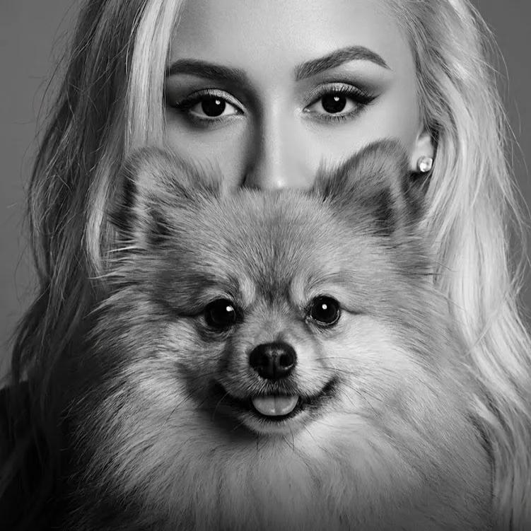 elit kutyapanzió - Érd pet otel görseli 5