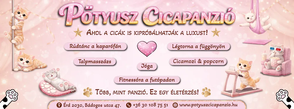 Pötyusz Cicapanzió - Érd pet otel görseli 2