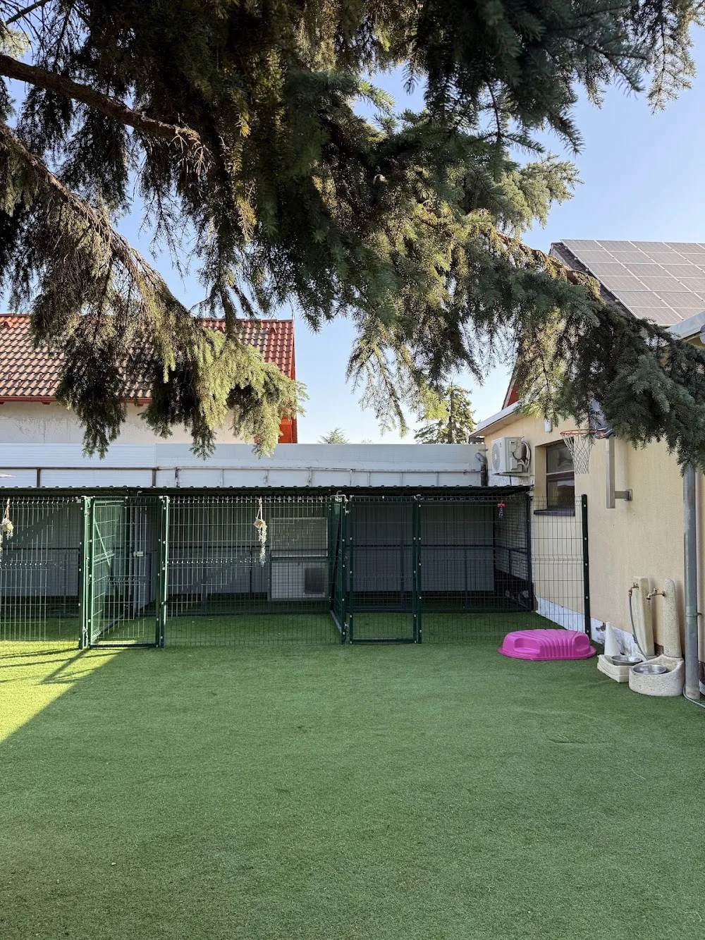 Tri Dogs | Kutyapanzió és Napközi - Érd pet otel görseli 2