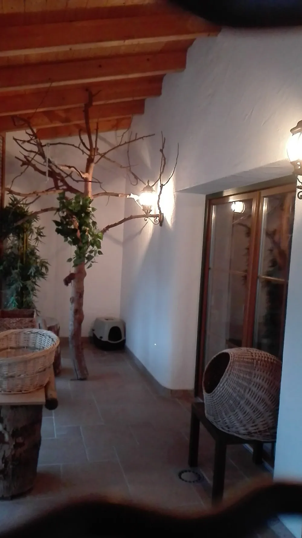 Katzenpension Lommer - Erding pet otel