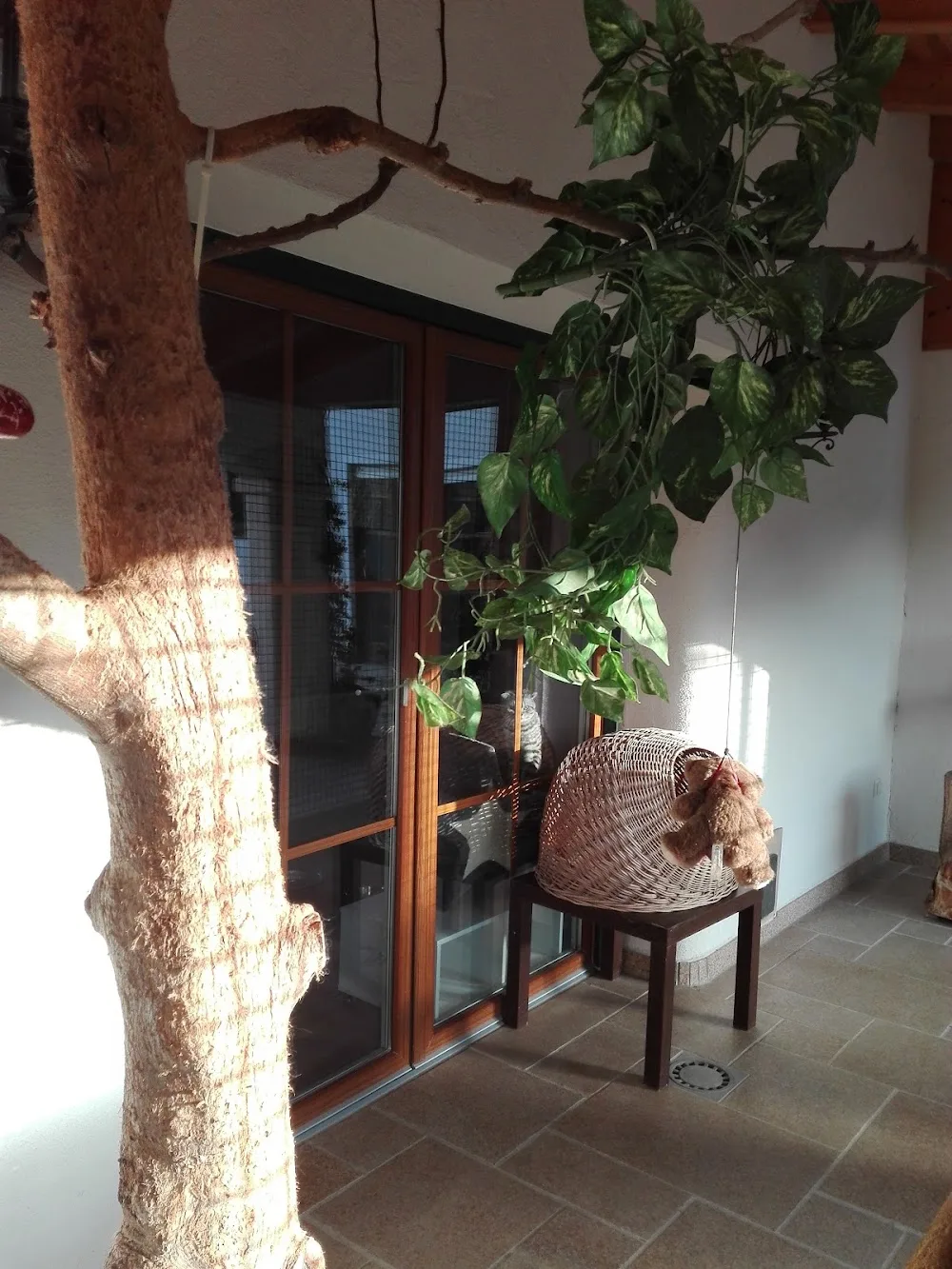 Katzenpension Lommer - Erding pet otel görseli 3