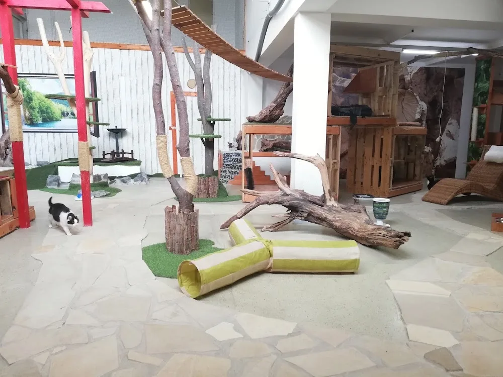 Katzenpension Tiergarten Erfurt - Erfurt pet otel
