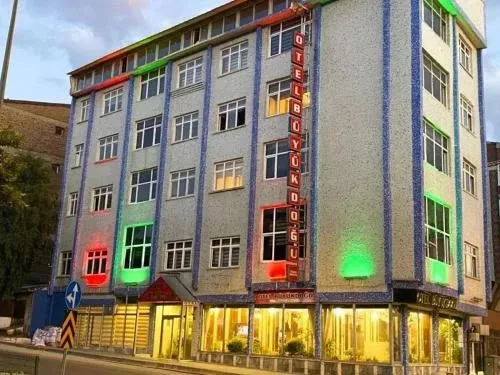 Erzurum Otel Büyük Doğu & Erzurum Otelleri & Erzurum En İyi Otel - Erzurum pet otel görseli 2