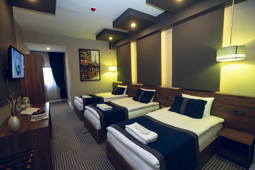 Grand Çatalkaya Hotel - Erzurum pet otel görseli 5