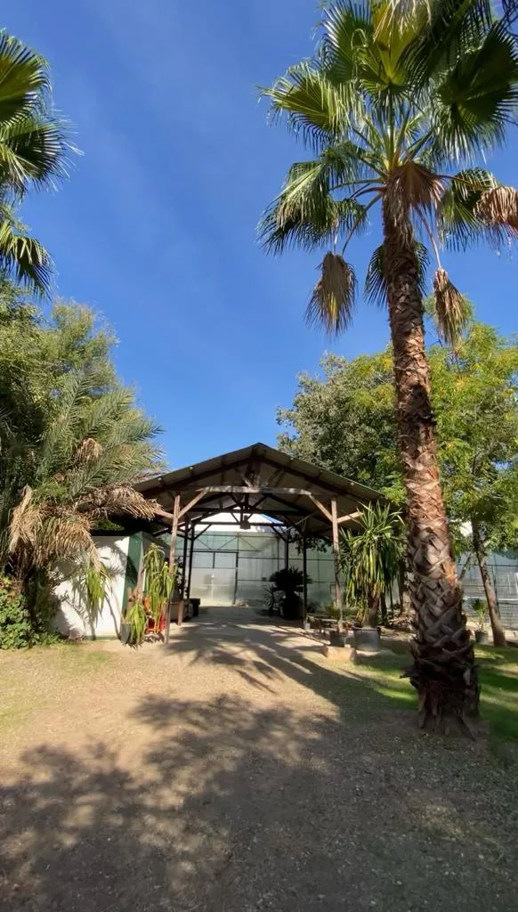 Maskotas Hotel Canino - Córdoba pet otel