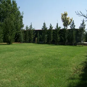 Residencia Canina Cordoba Cansport - Córdoba pet otel