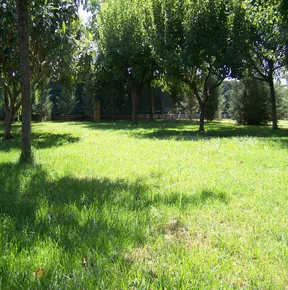 Residencia Canina Cordoba Cansport - Córdoba pet otel görseli 3