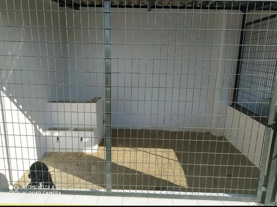 Residencia Canina Las Cabrerizas del Sur - Córdoba pet otel görseli 3