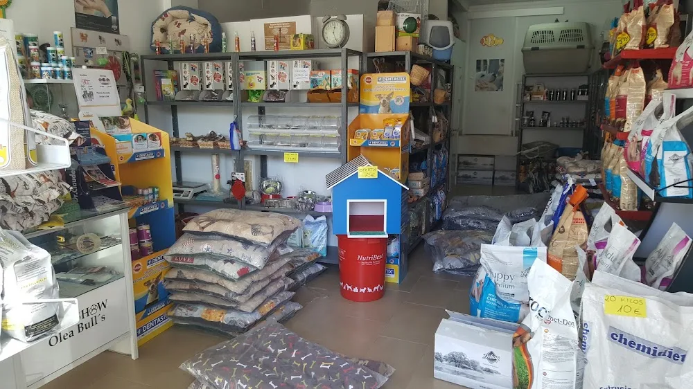 Residencia Canina Olea Bull's - Córdoba pet otel görseli 3