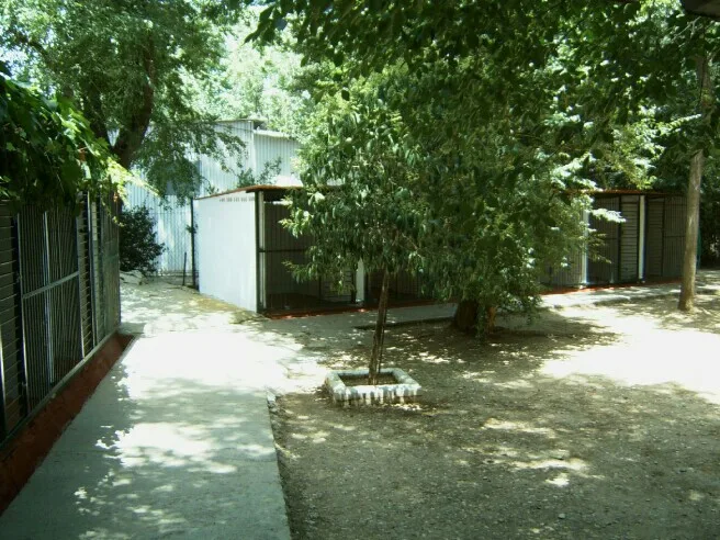 Residencia canina Séneca - Córdoba pet otel