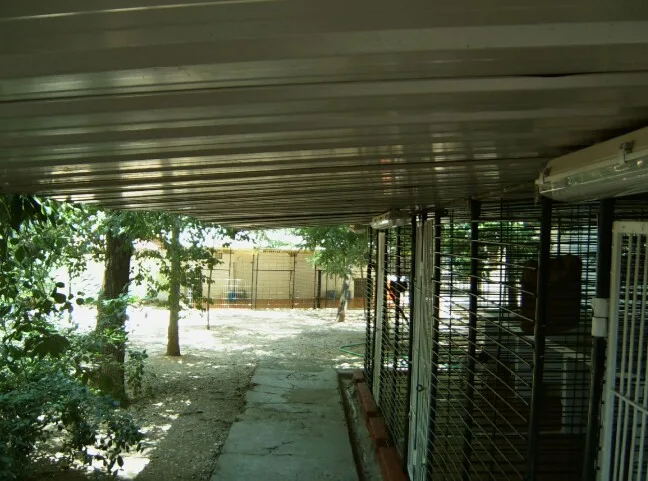 Residencia canina Séneca - Córdoba pet otel görseli 3