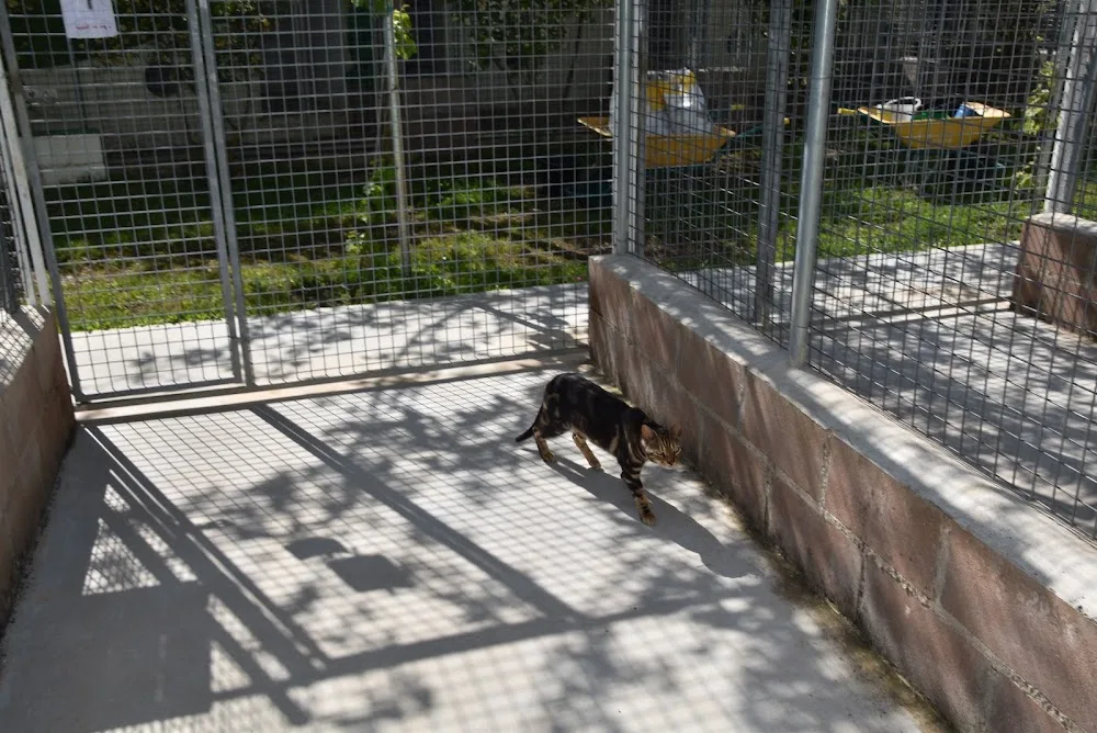 Granja la Luna residencia canina gatos en Madrid (Oficina) - Guadalajara pet otel