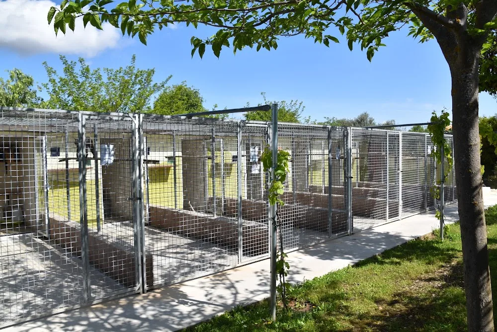 Granja la Luna residencia canina gatos en Madrid (Oficina) - Guadalajara pet otel görseli 3