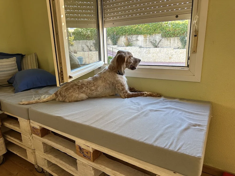 Residencia VEGA Del HENARES - Guadalajara pet otel