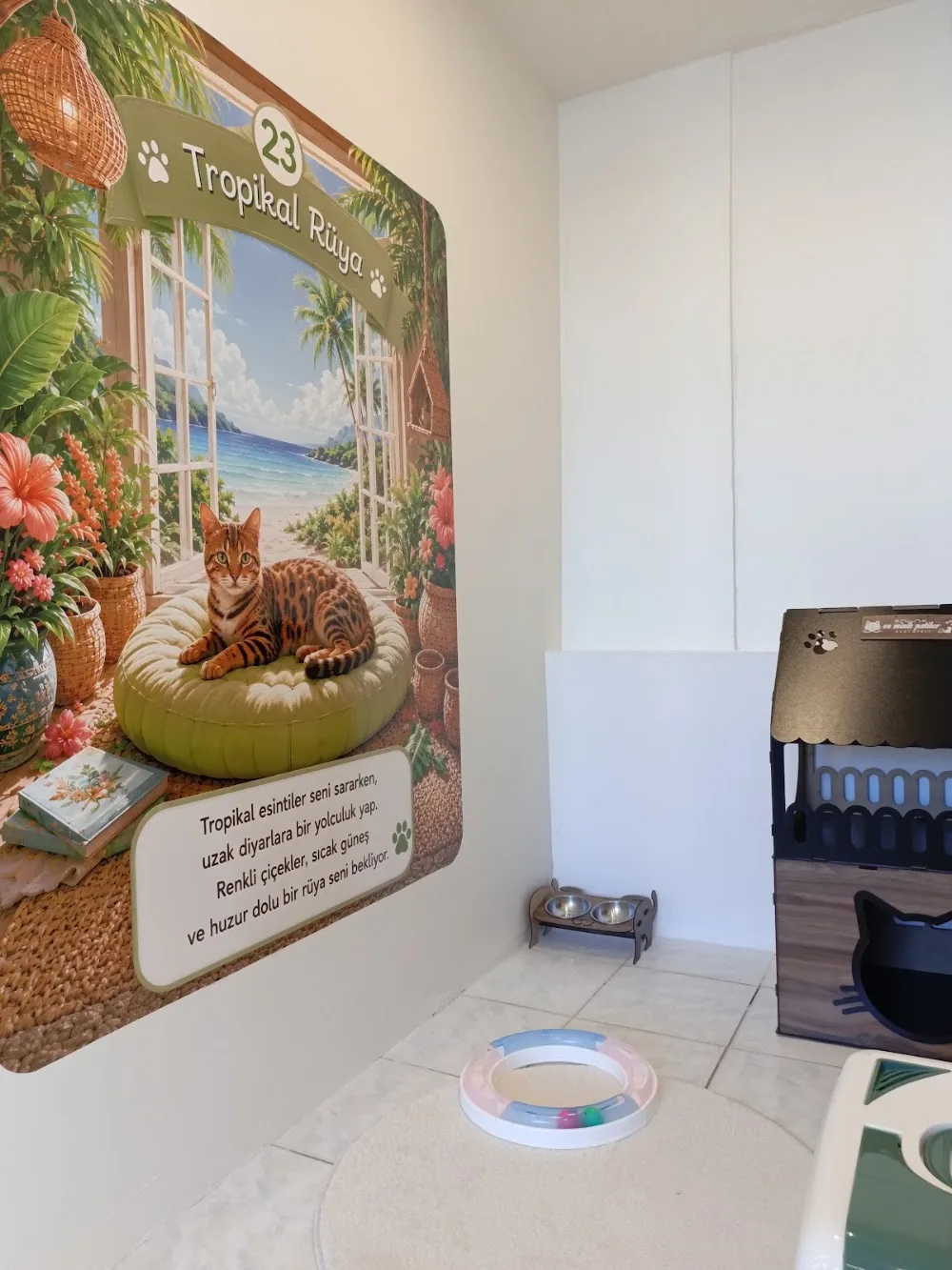 Es Minik Patiler Kedi Oteli - Eskişehir pet otel görseli 3