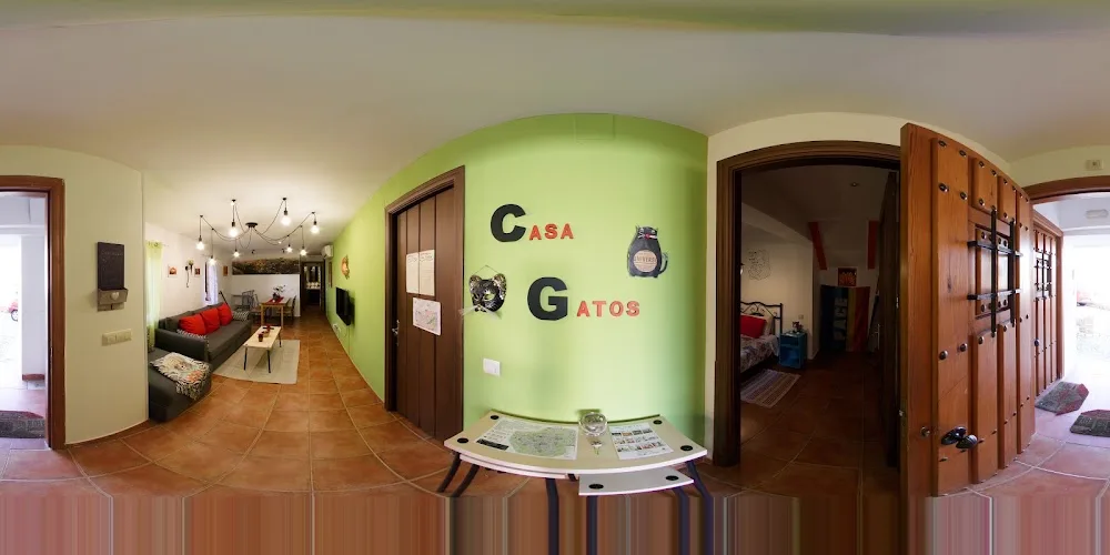 Casa Gatos - Toledo pet otel görseli 3