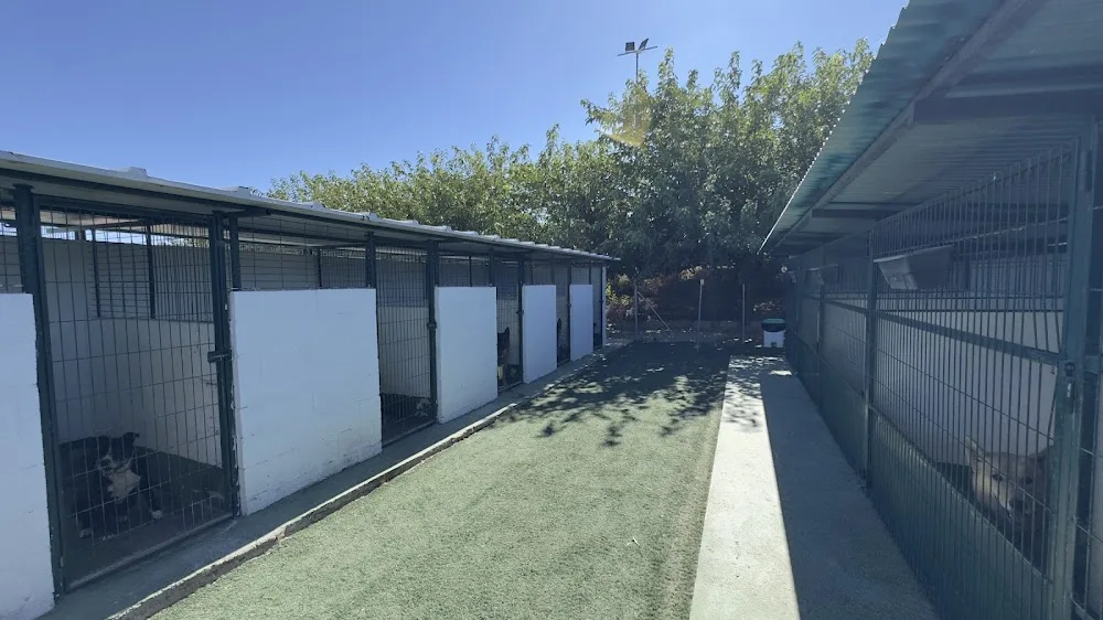 Dogquijote Escuela De Adiestramiento Y Residencia Canina - Toledo pet otel görseli 3