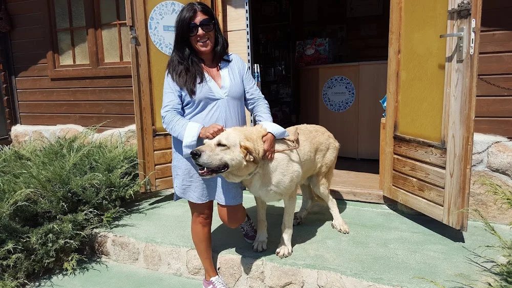 Hotel canino BestCan - Toledo pet otel