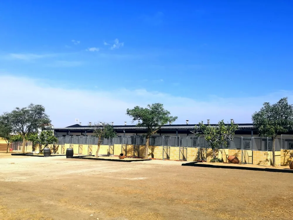 La Martina Residencia Canina - Toledo pet otel