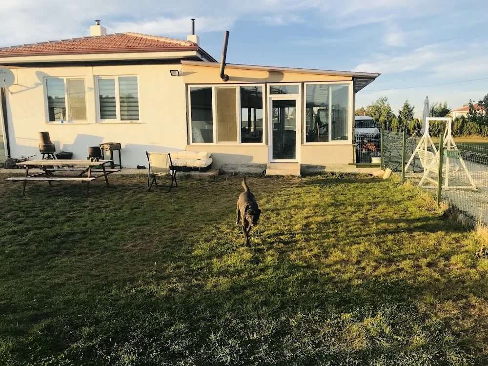 Eskişehir Patişah Köpek Oteli ve Çiftliği - Eskişehir pet otel görseli 12