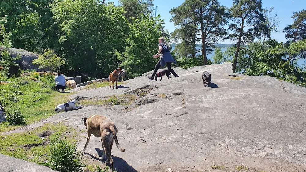 Koiraparkki.com - Espoo pet otel görseli 15