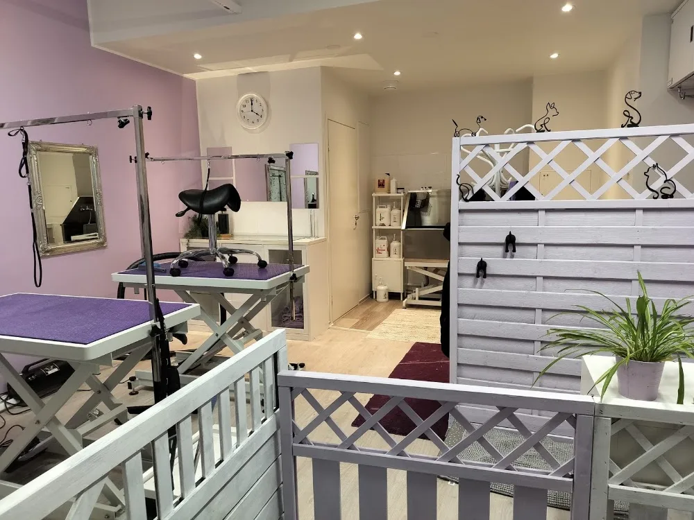 Untuvan PetSpa - Espoo pet otel görseli 6