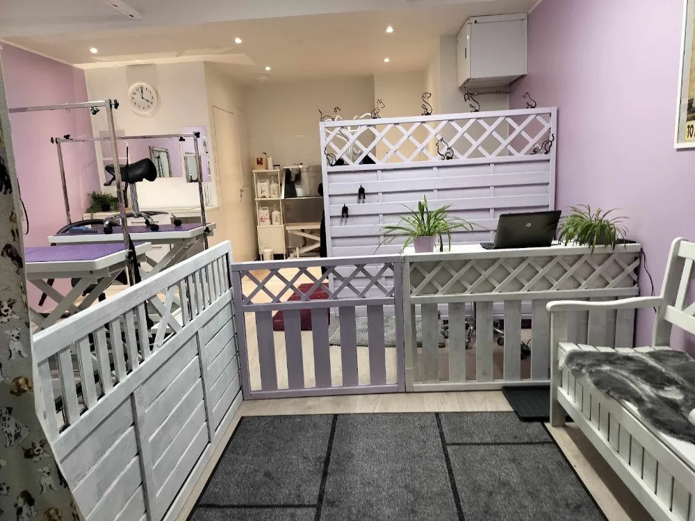 Untuvan PetSpa - Espoo pet otel görseli 11