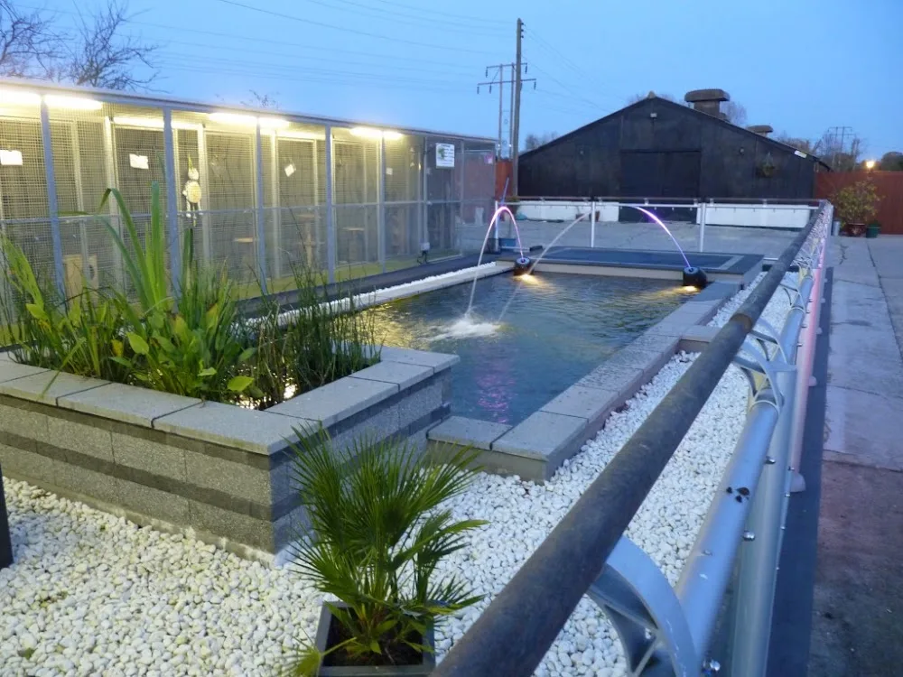 5 Star Boarding Kennels & Cattery - Essex pet otel