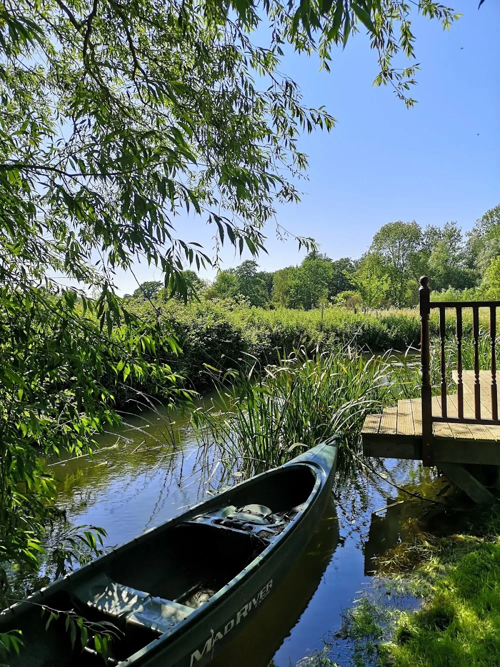 Alfa Boarding Kennels - Essex pet otel