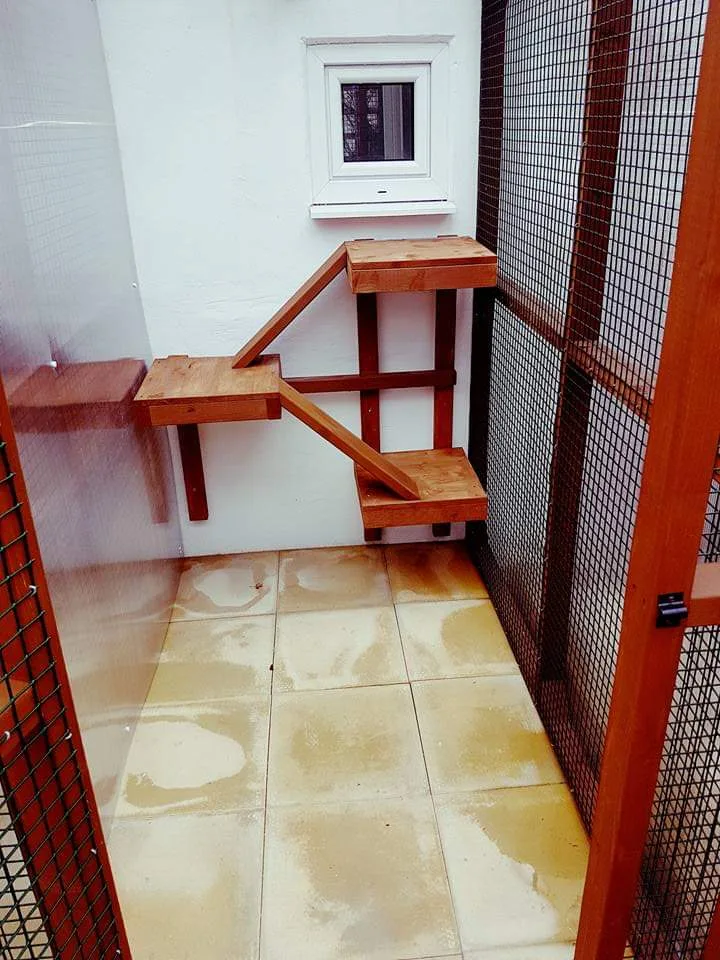 All About Cats Cattery - Essex pet otel görseli 3