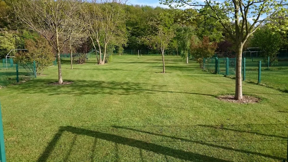 Beeches Farm Kennels - Essex pet otel