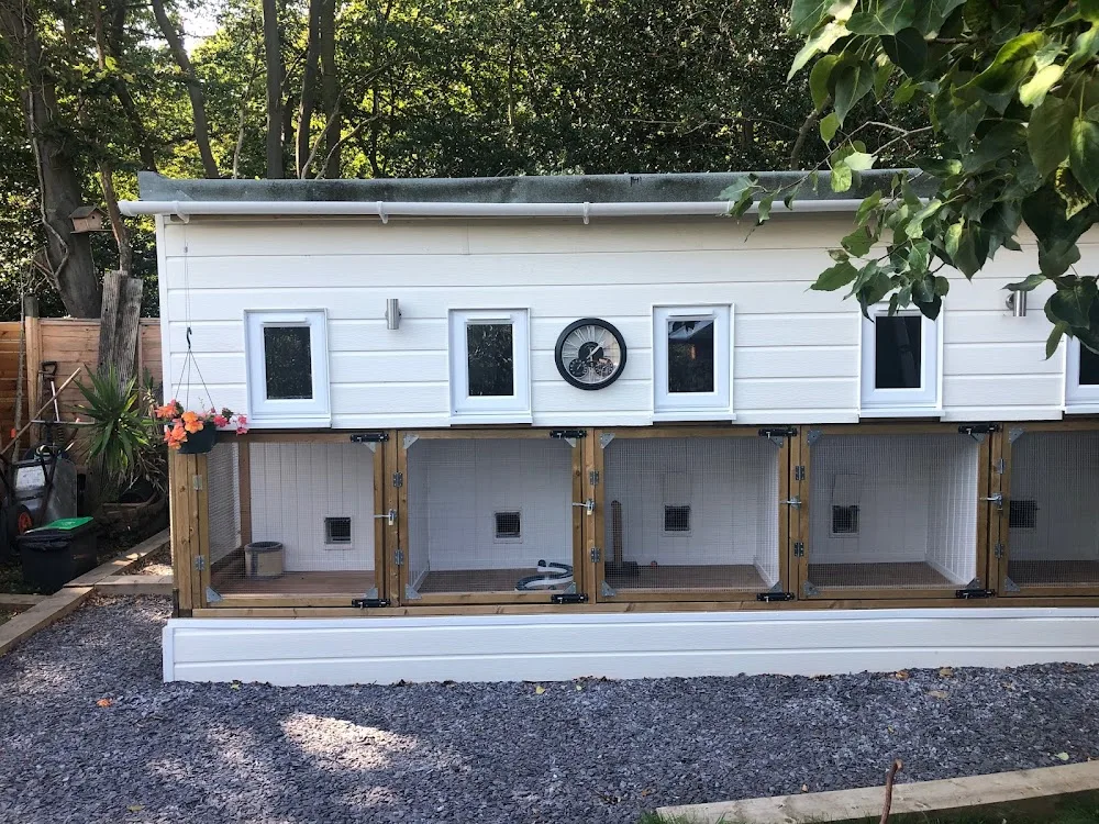 Bellhouse Cattery - Essex pet otel görseli 3
