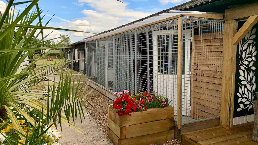 Bodiam Farm Cattery - Essex pet otel