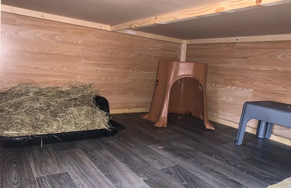 Chelmsford Bunny Lodge - Essex pet otel