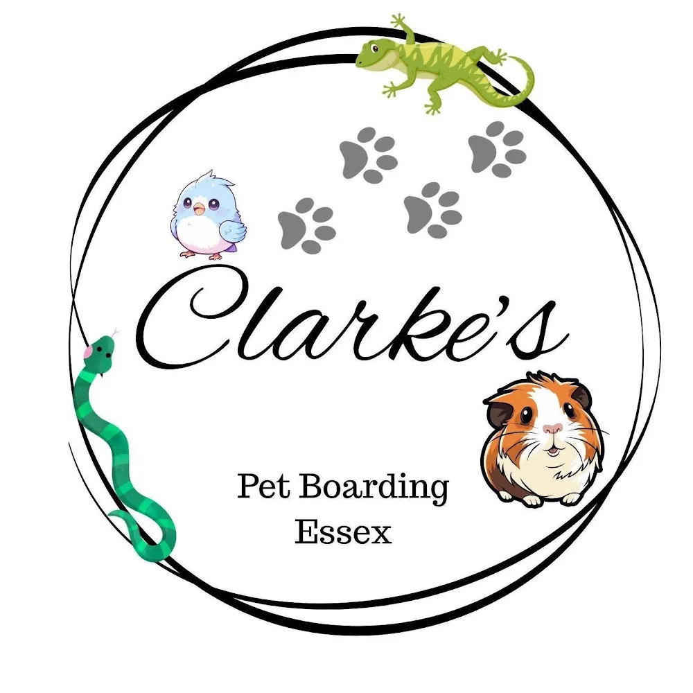 clarke s pet boarding essex - Essex pet otel