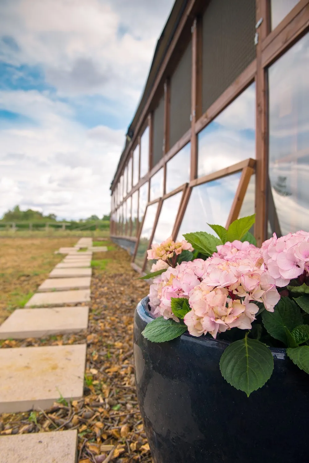 Greenside Boutique Cattery - Essex pet otel