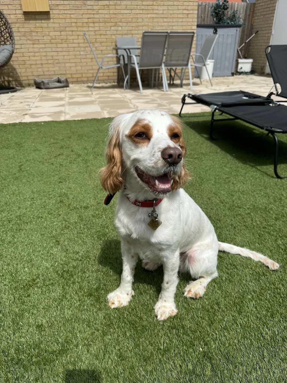 Harvesters Farm Kennels - Essex pet otel