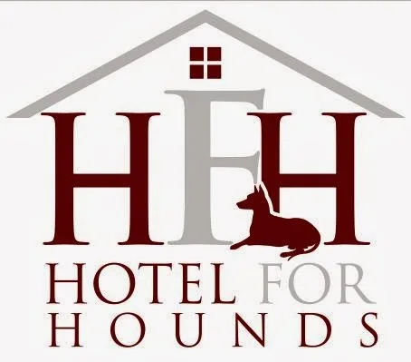 Hotel For Hounds - Essex pet otel görseli 3