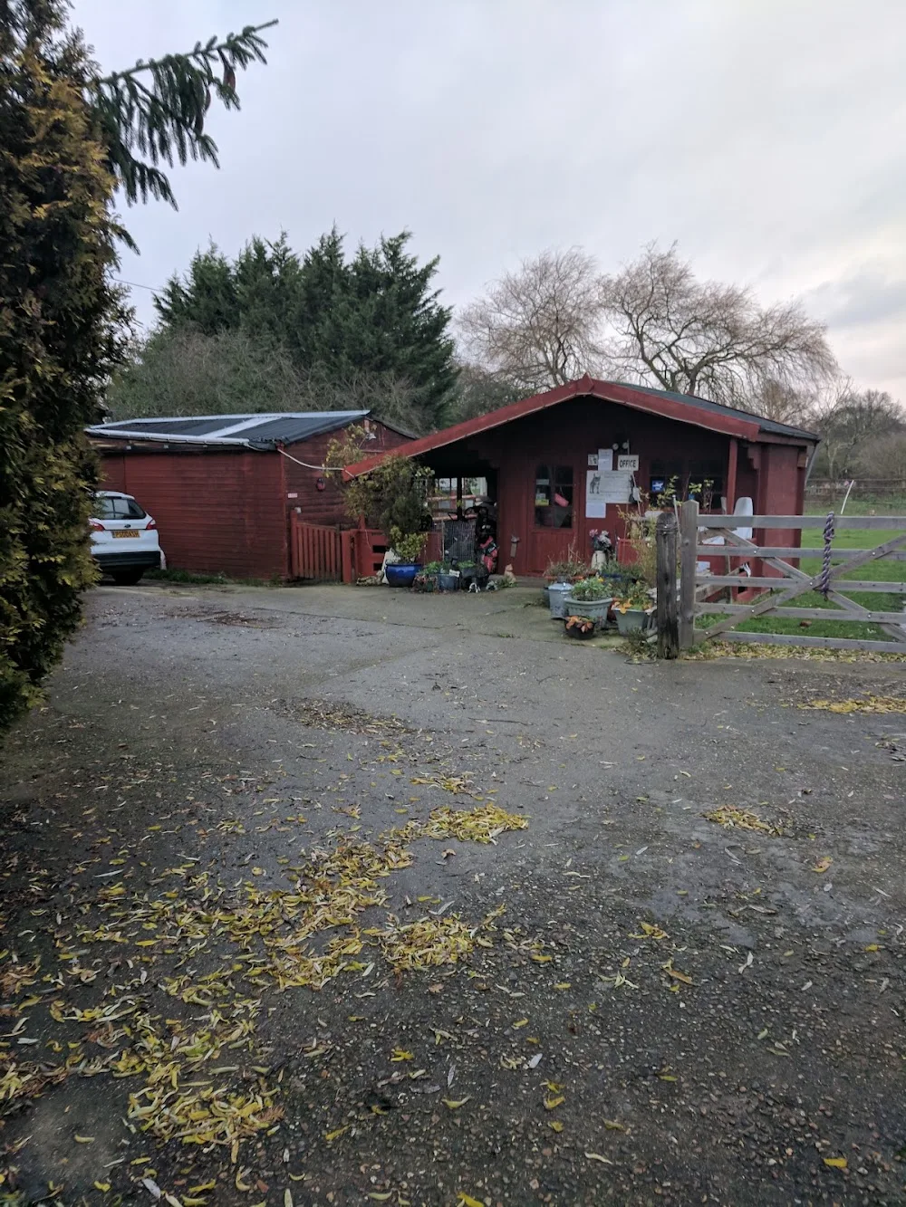 Katz Kingdom Kattery - Essex pet otel görseli 3