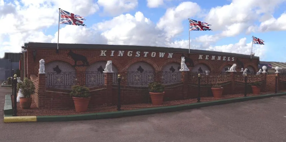 Kingstown Kennels and Cattery - Essex pet otel