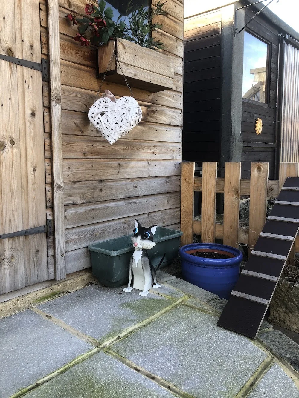 KozyKats Boarding Cattery - Essex pet otel