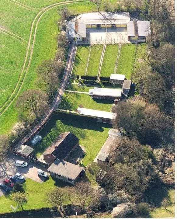 Ladybird Kennels and Cattery - Essex pet otel görseli 3