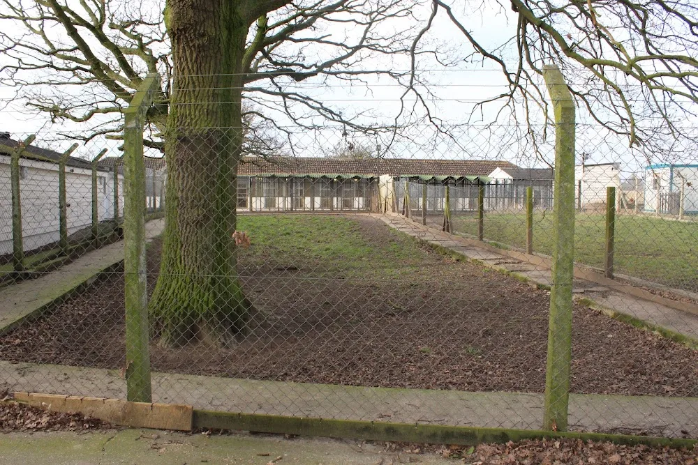 Latneys Kennels, Cattery & Grooming Parlour - Essex pet otel görseli 3